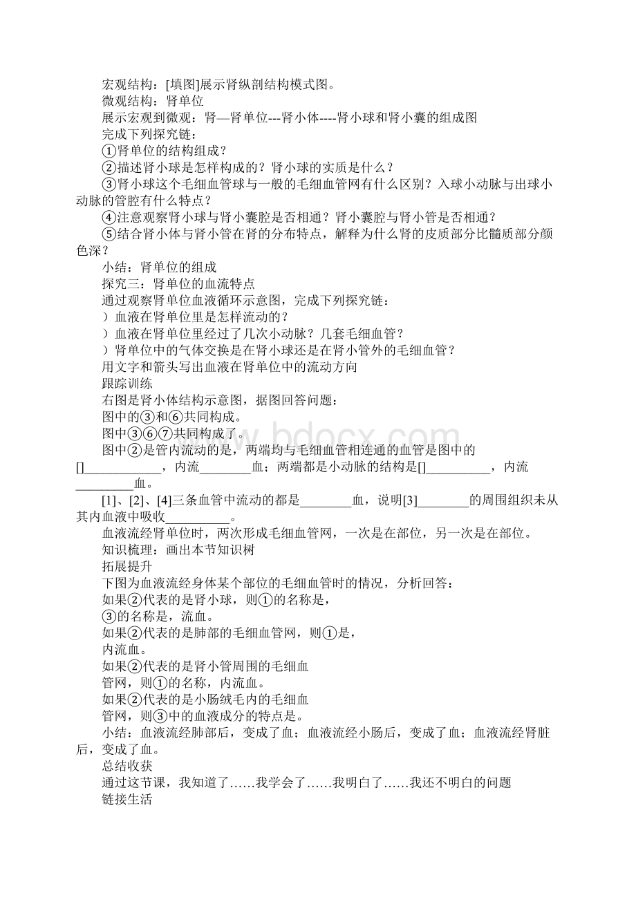 《尿的形成和排出》学案课时.docx_第2页