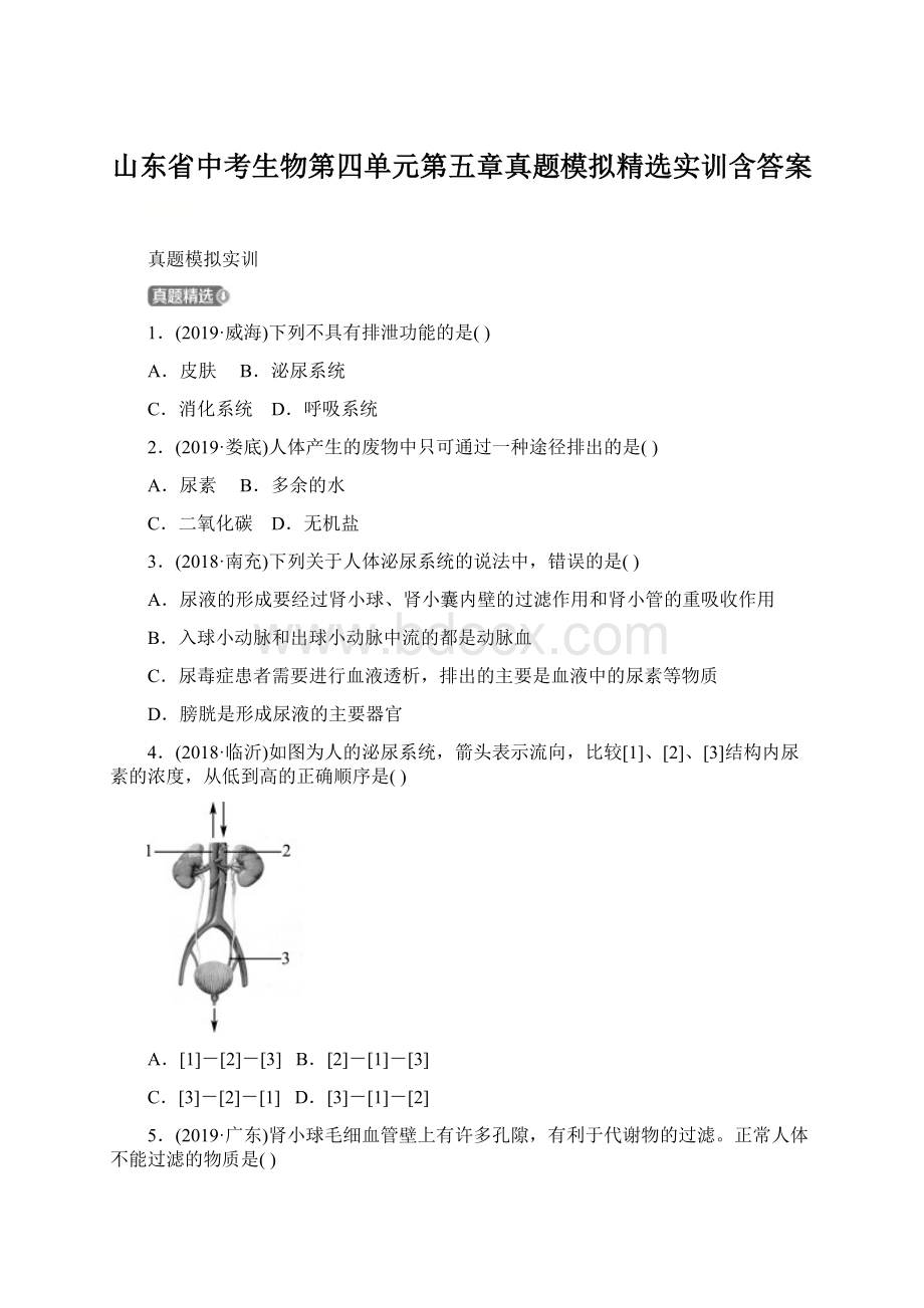 山东省中考生物第四单元第五章真题模拟精选实训含答案文档格式.docx