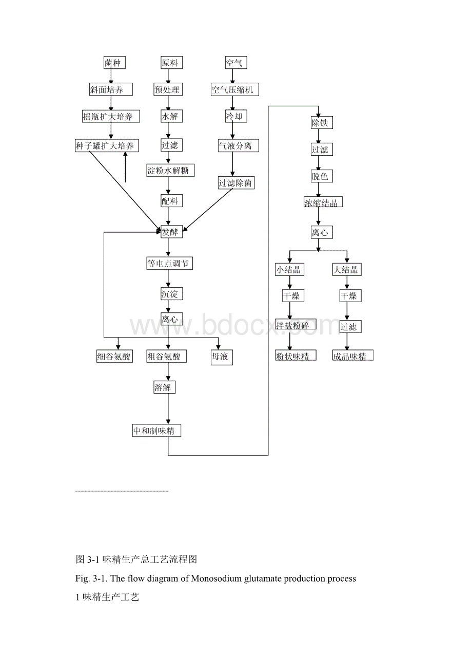 味精发酵工艺流程论文Word文件下载.docx_第2页