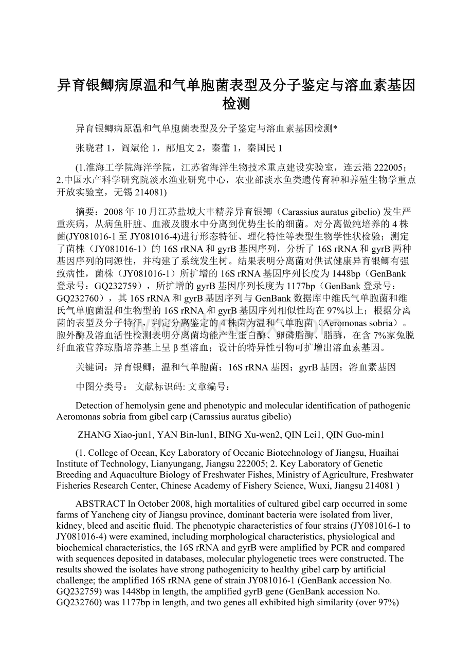 异育银鲫病原温和气单胞菌表型及分子鉴定与溶血素基因检测Word文件下载.docx