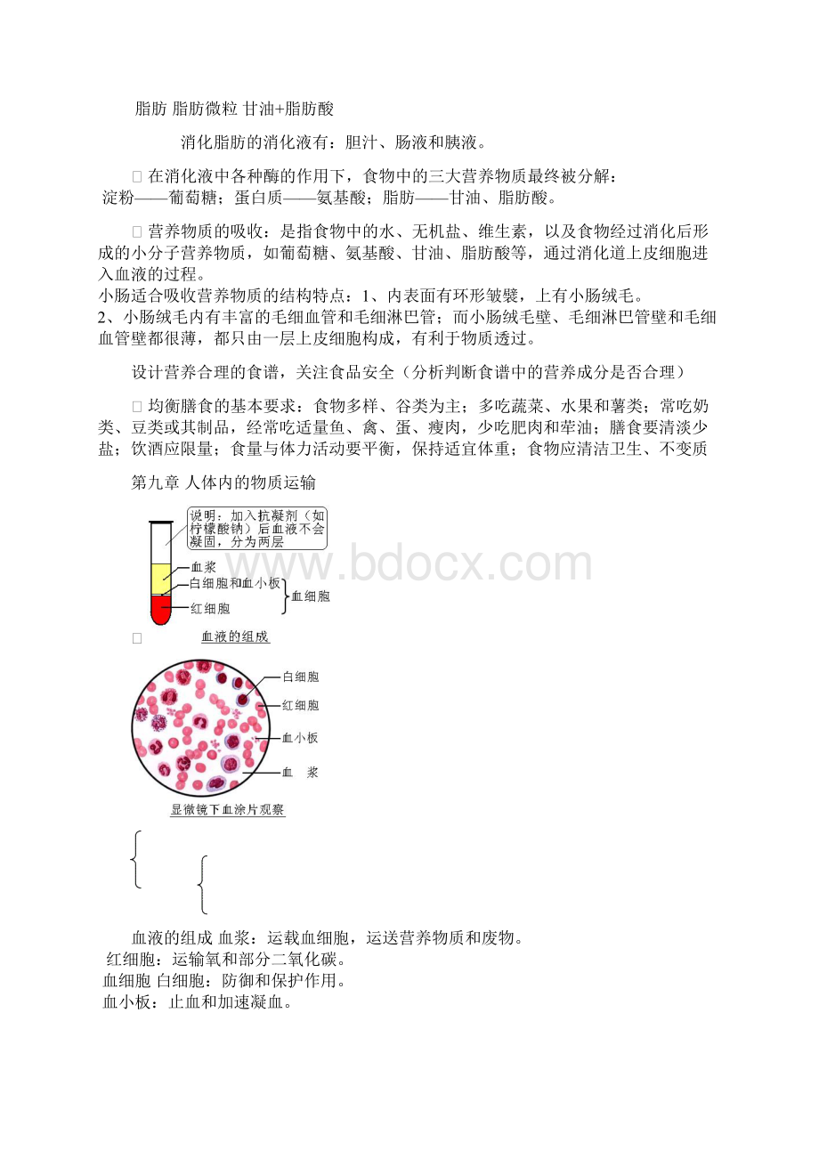 七年级生物科期中复习资料1Word格式.docx_第3页