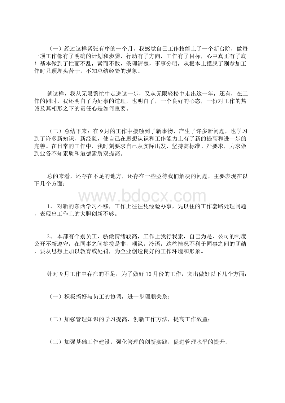 销售份工作总结及份工作计划Word文档下载推荐.docx_第2页