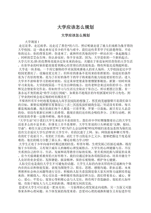 大学应该怎么规划Word文档格式.docx