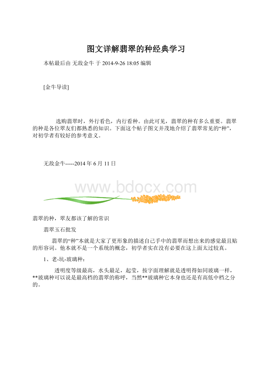 图文详解翡翠的种经典学习.docx