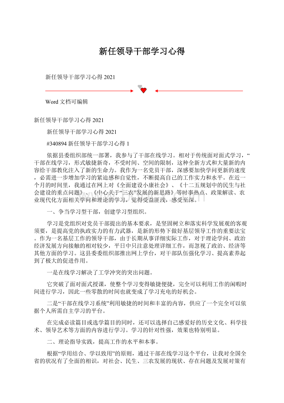 新任领导干部学习心得.docx