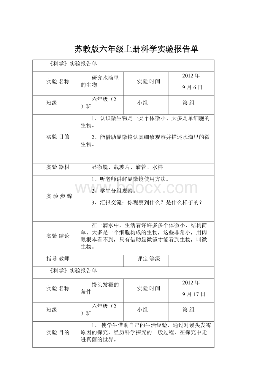 苏教版六年级上册科学实验报告单.docx