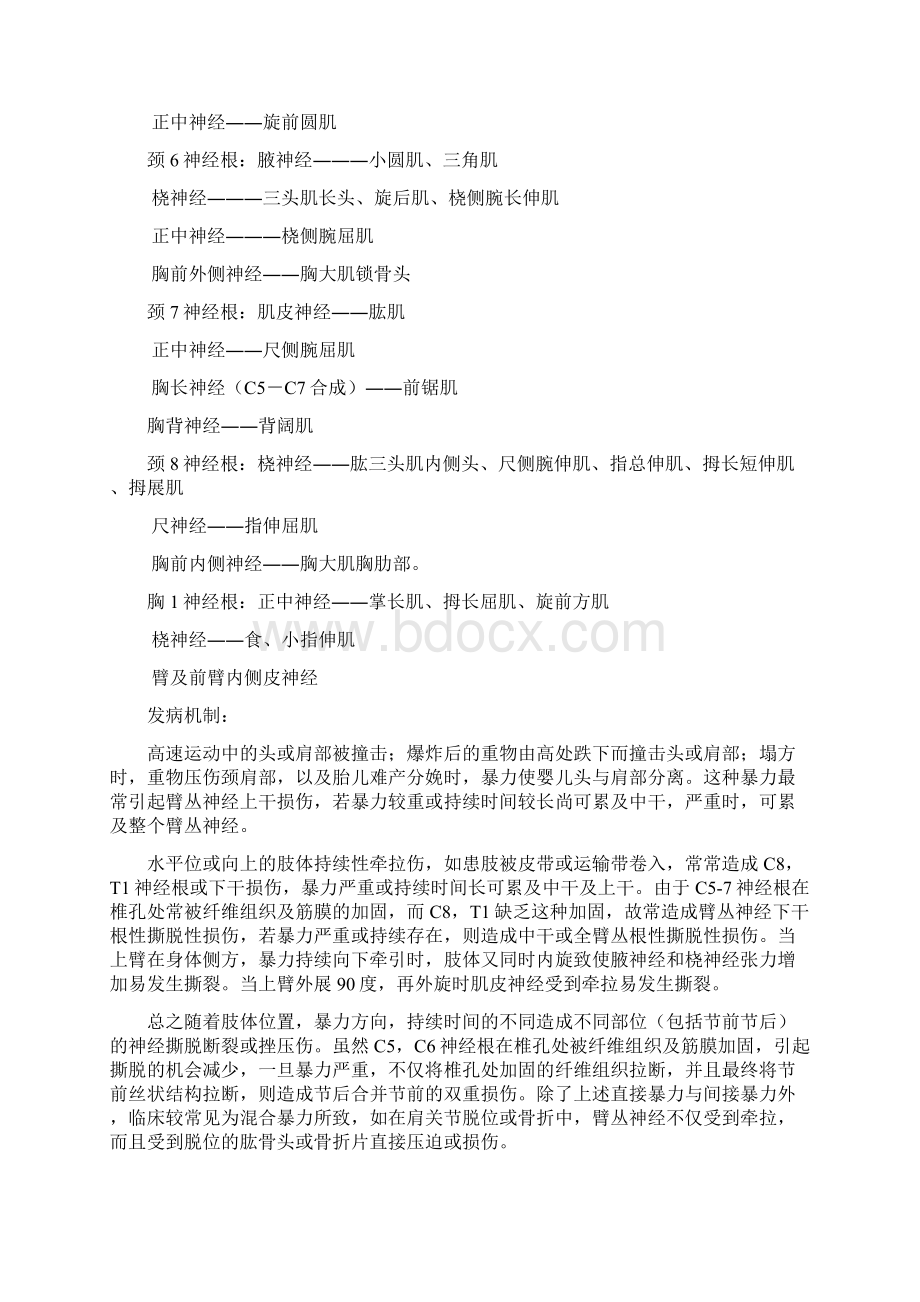 臂丛神经损伤剖析文档格式.docx_第2页