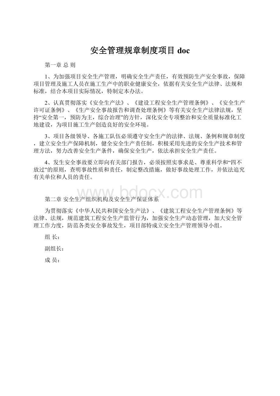 安全管理规章制度项目docWord格式文档下载.docx_第1页