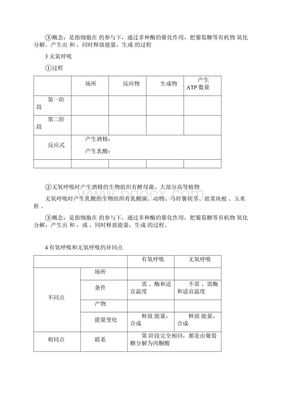 光合与呼吸知识点Word下载.docx_第2页