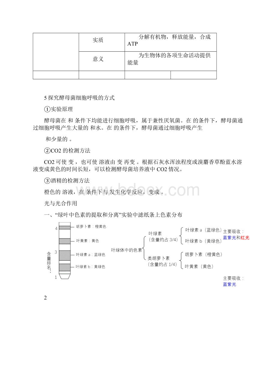 光合与呼吸知识点Word下载.docx_第3页