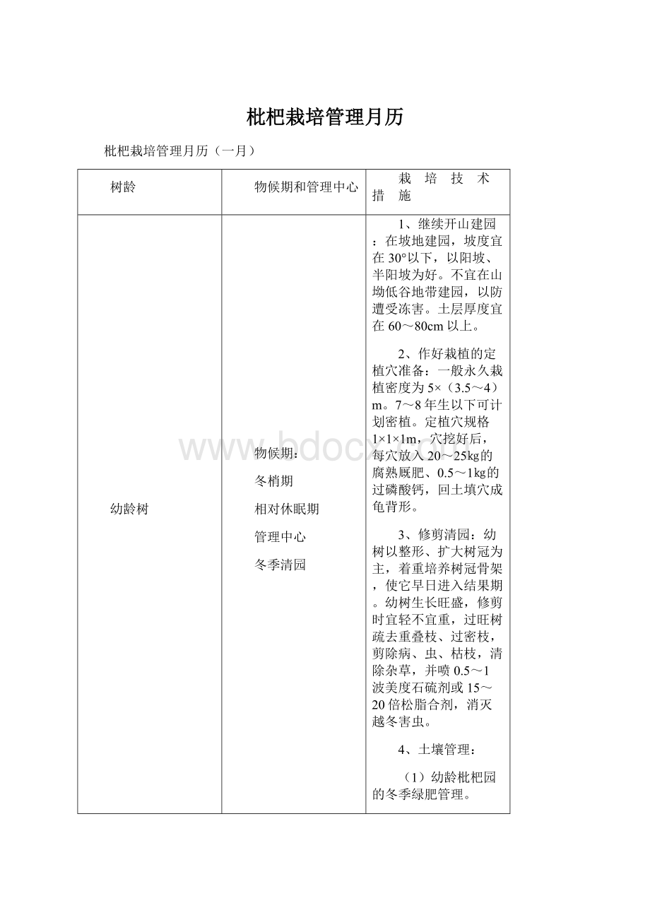 枇杷栽培管理月历Word文件下载.docx