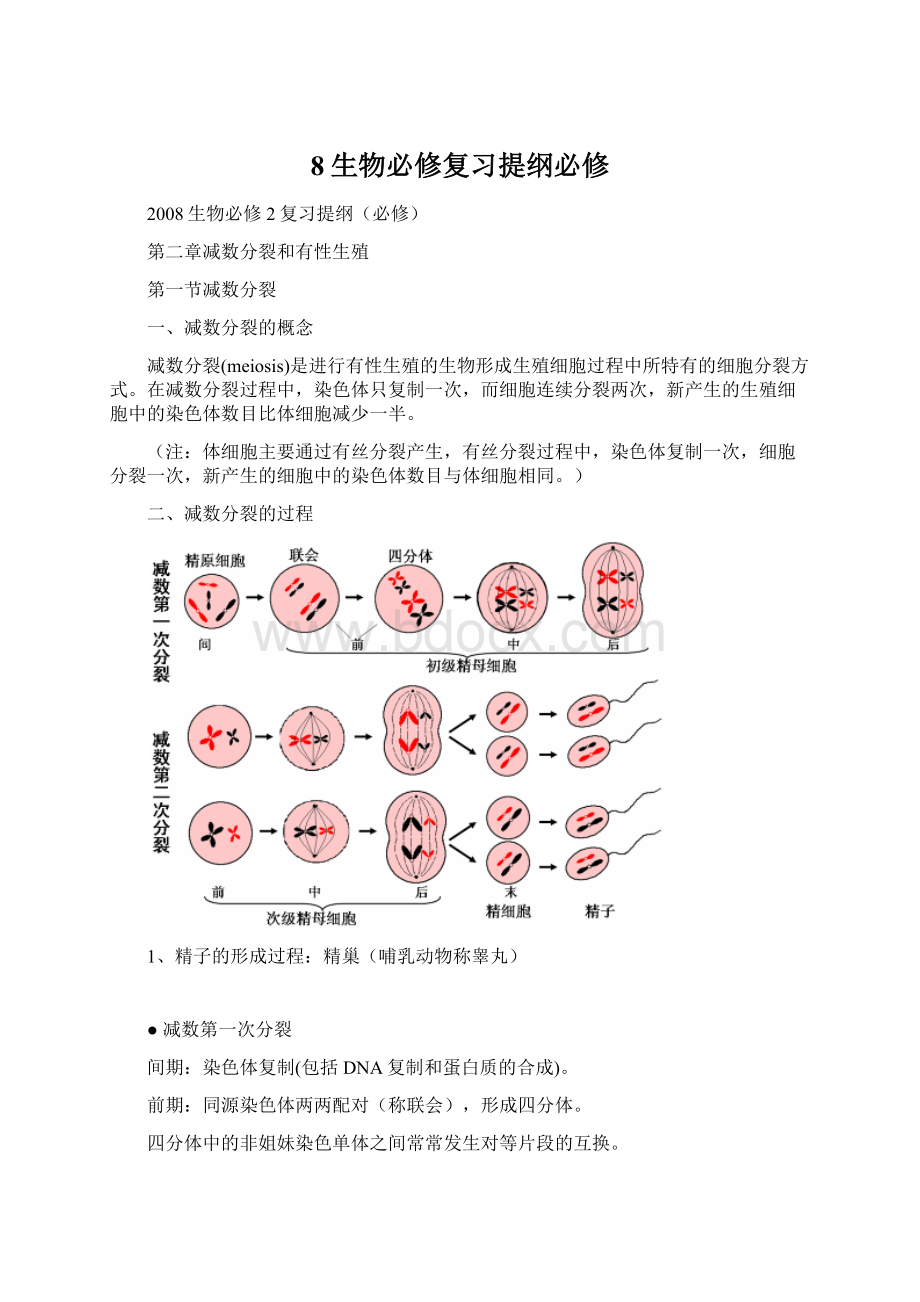 8生物必修复习提纲必修.docx