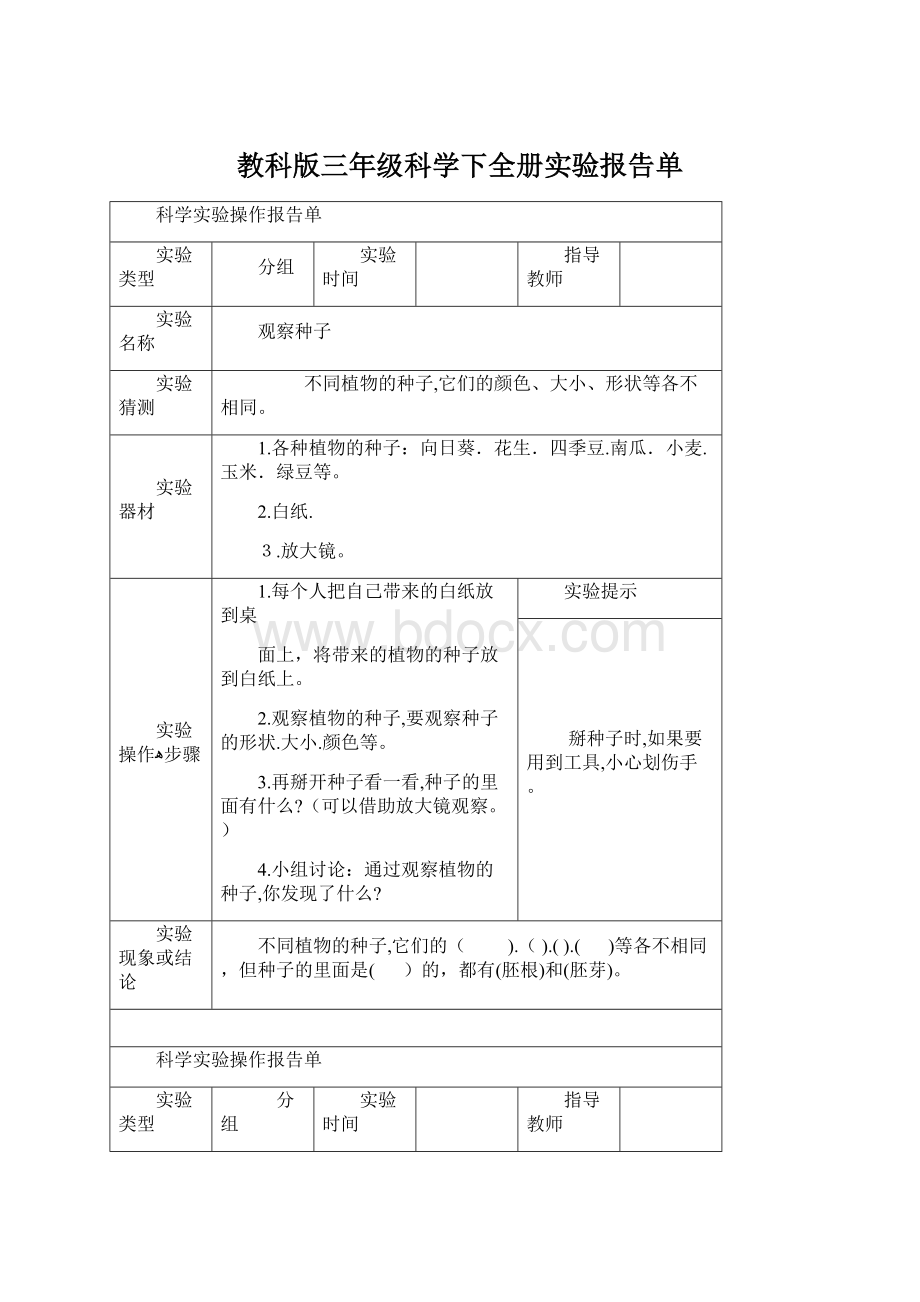 教科版三年级科学下全册实验报告单Word文件下载.docx_第1页