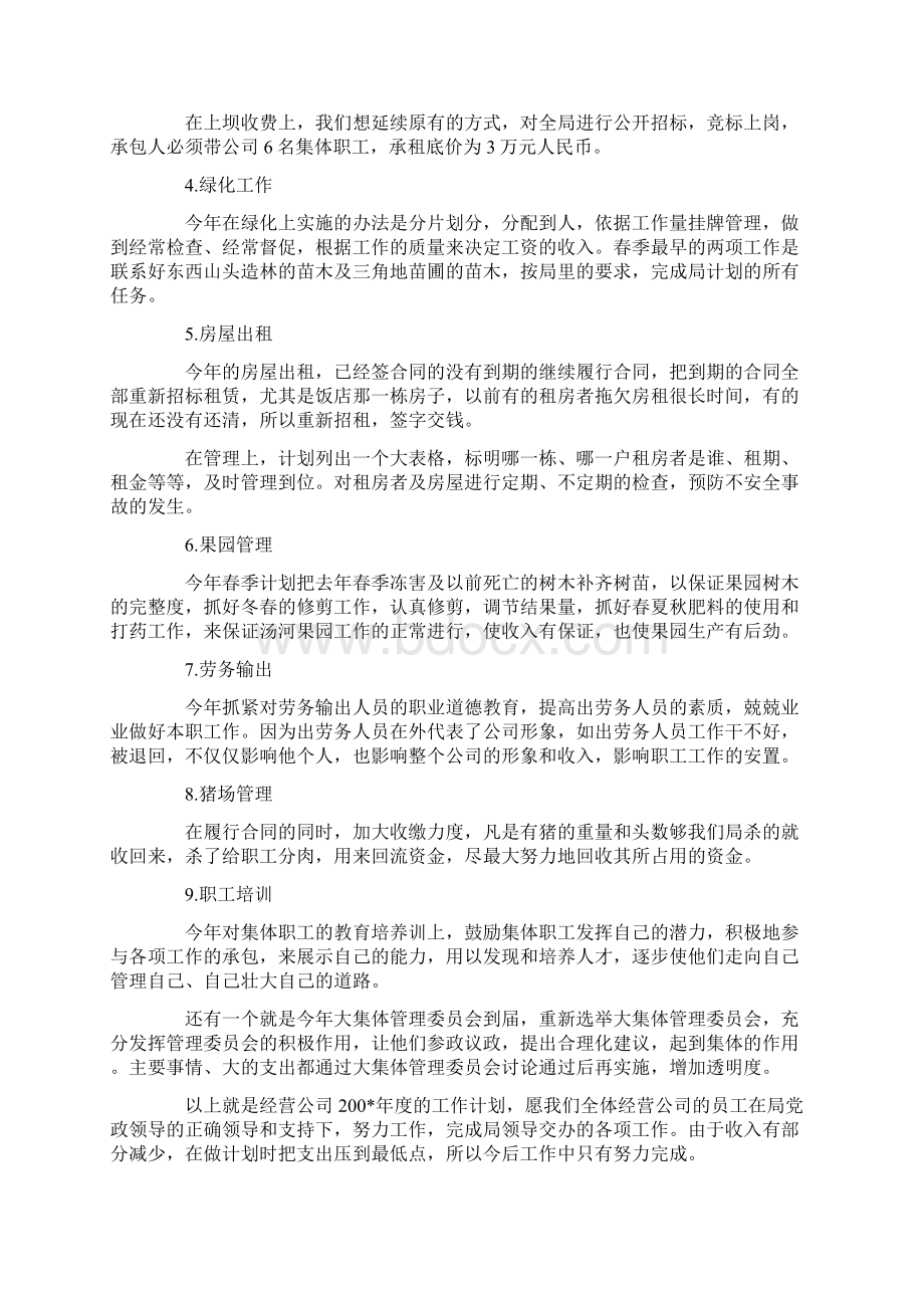 企业年度经营计划书范本Word文件下载.docx_第3页