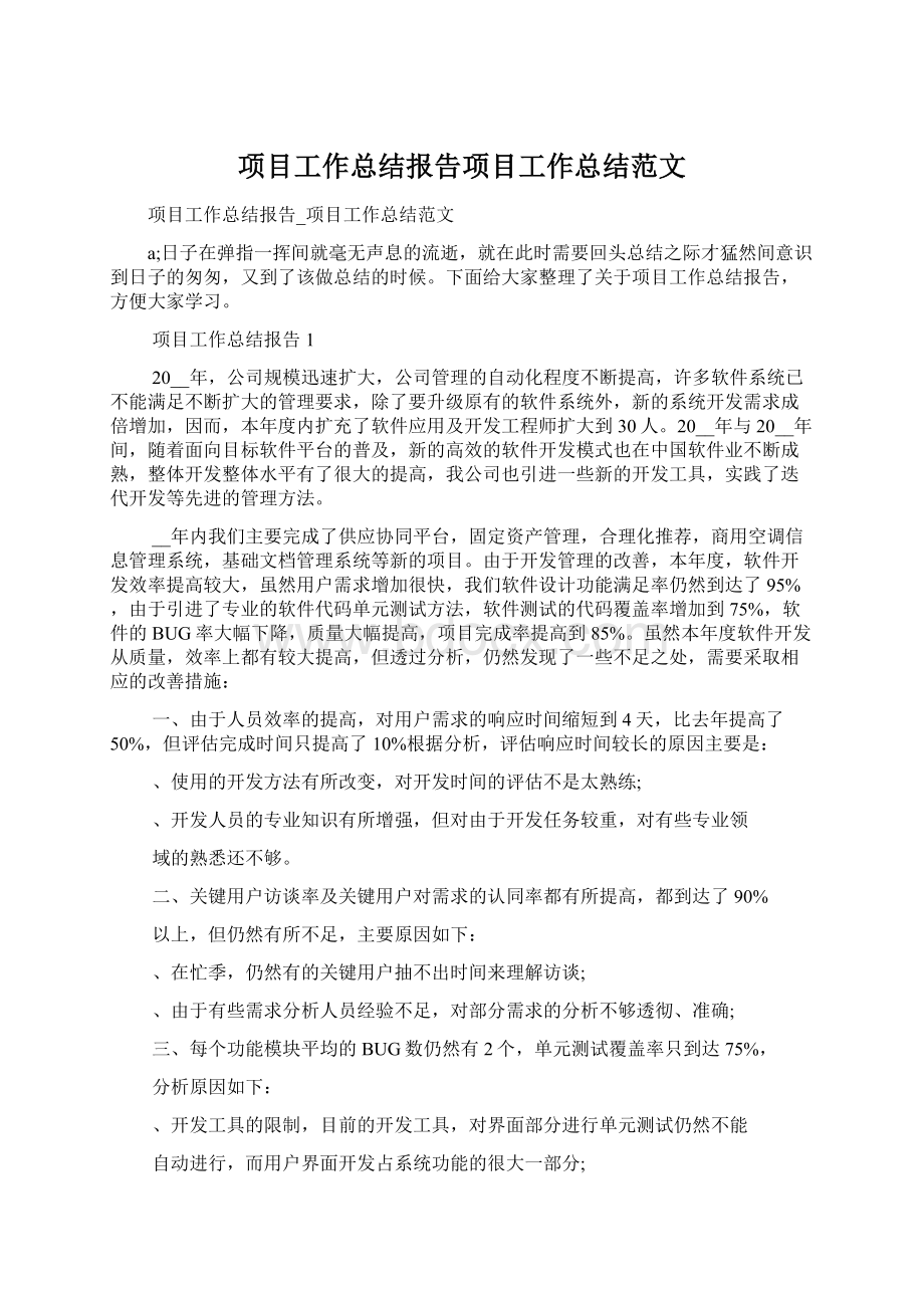 项目工作总结报告项目工作总结范文.docx