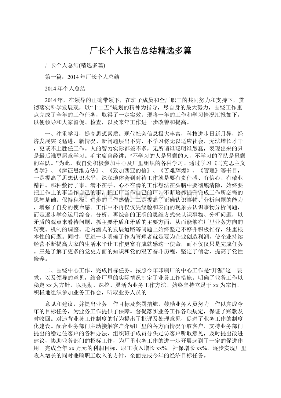 厂长个人报告总结精选多篇.docx