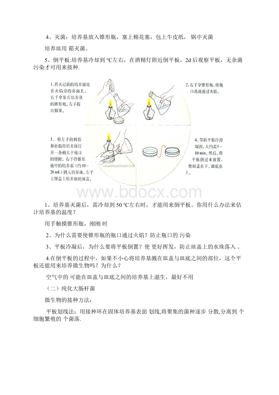 高中生物 专题二 微生物的培养与应用导学案无答案新人教版选修.docx_第3页