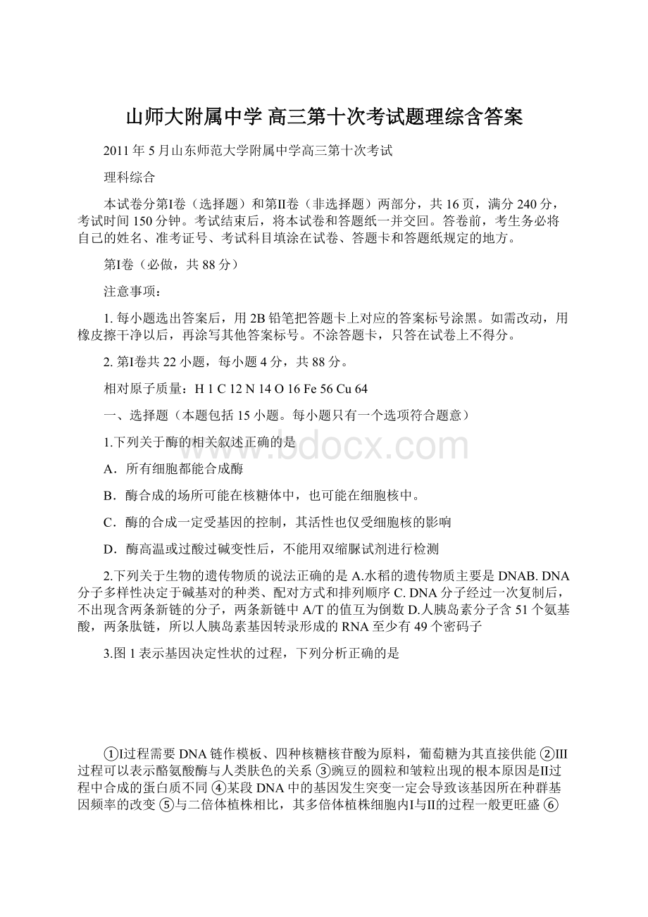 山师大附属中学 高三第十次考试题理综含答案文档格式.docx