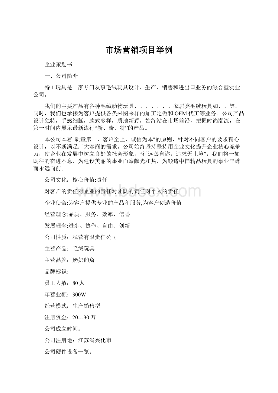 市场营销项目举例Word文档格式.docx