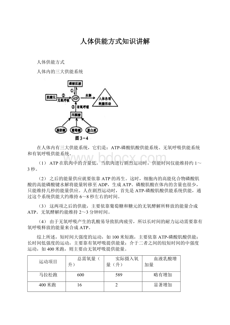 人体供能方式知识讲解文档格式.docx