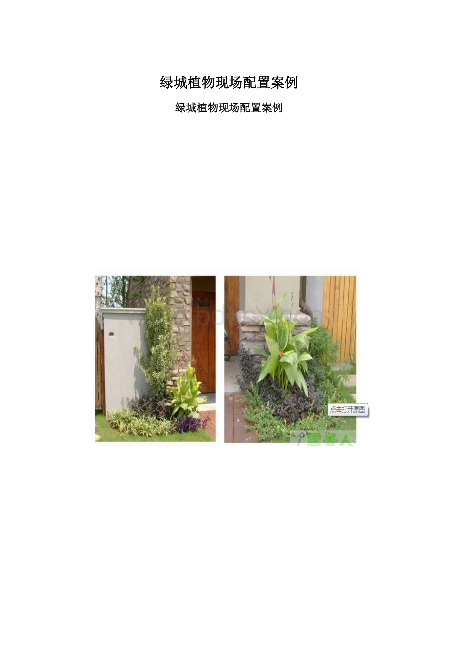 绿城植物现场配置案例.docx