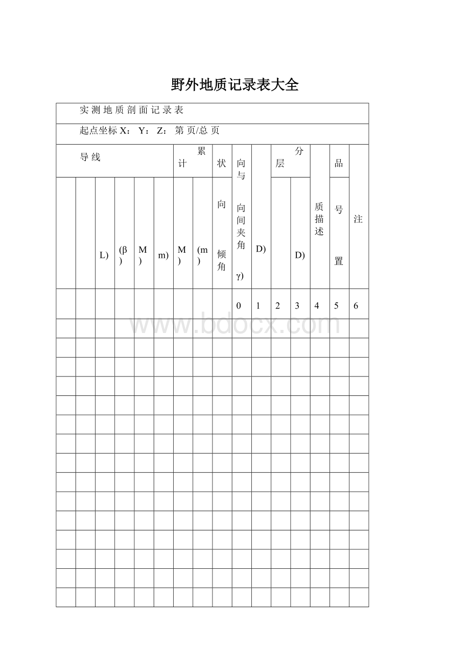 野外地质记录表大全.docx_第1页