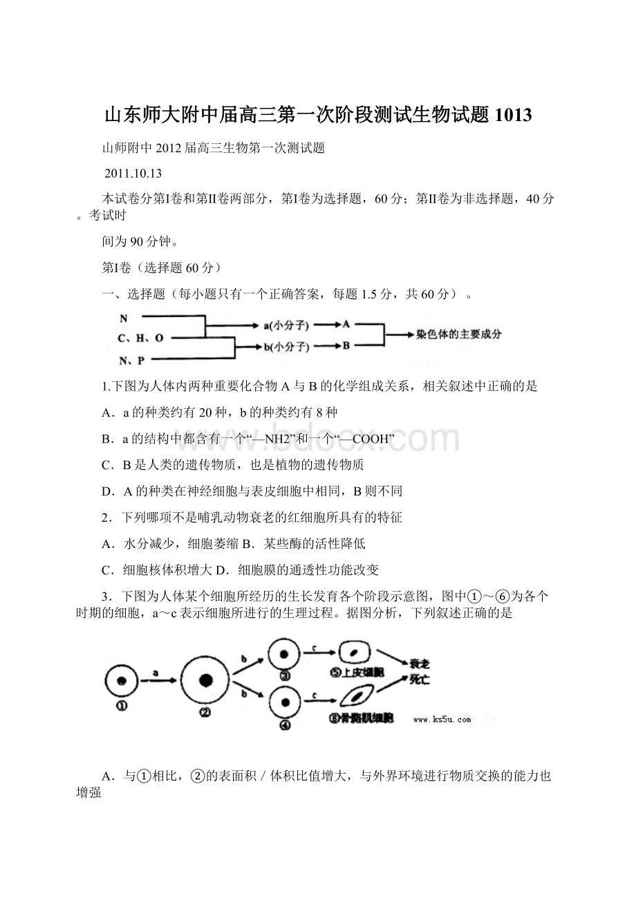 山东师大附中届高三第一次阶段测试生物试题1013.docx