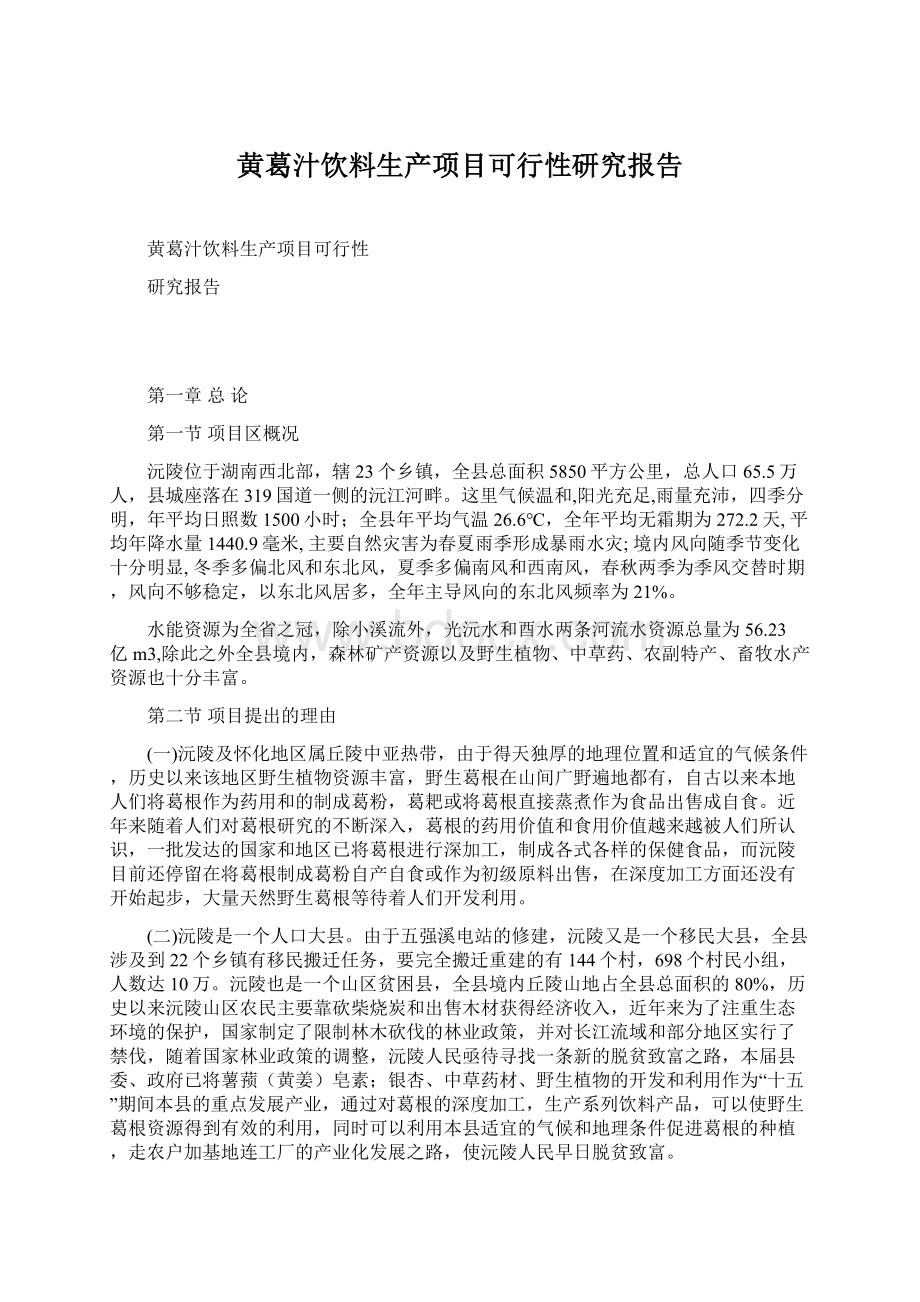 黄葛汁饮料生产项目可行性研究报告.docx