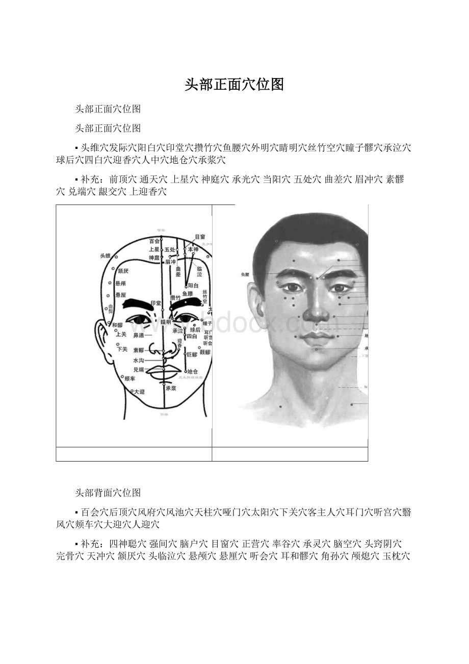 头部正面穴位图.docx_第1页