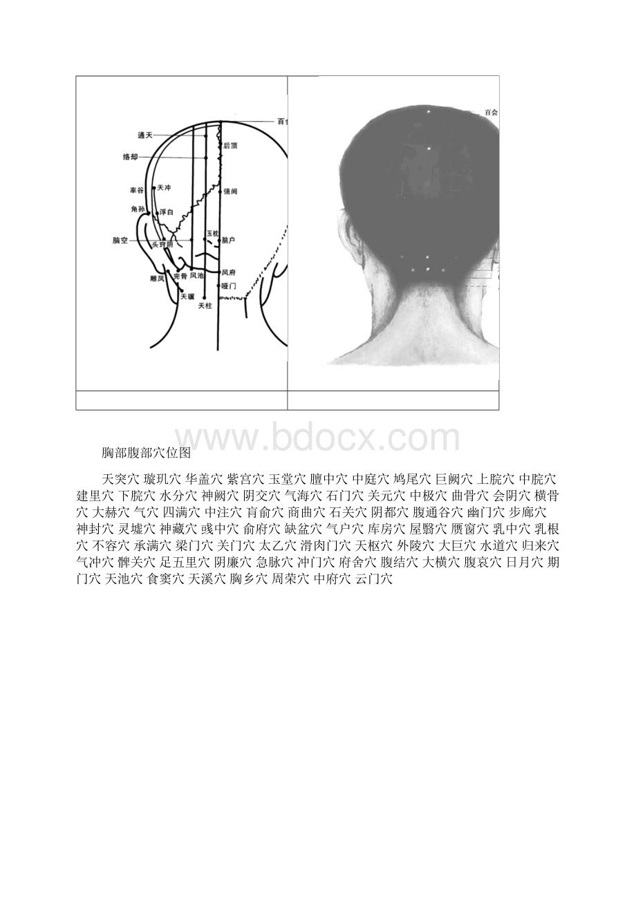 头部正面穴位图.docx_第2页