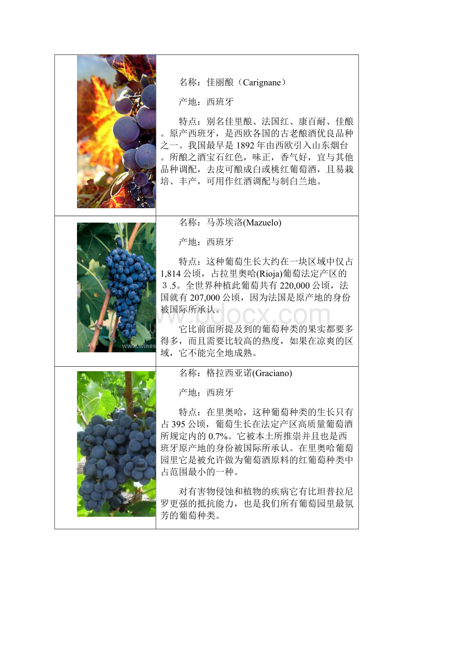 主要红葡萄酒品种 图文.docx_第3页