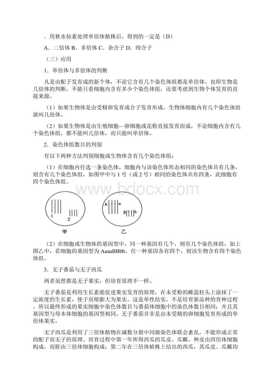 生物的变异一 染色体变异.docx_第3页