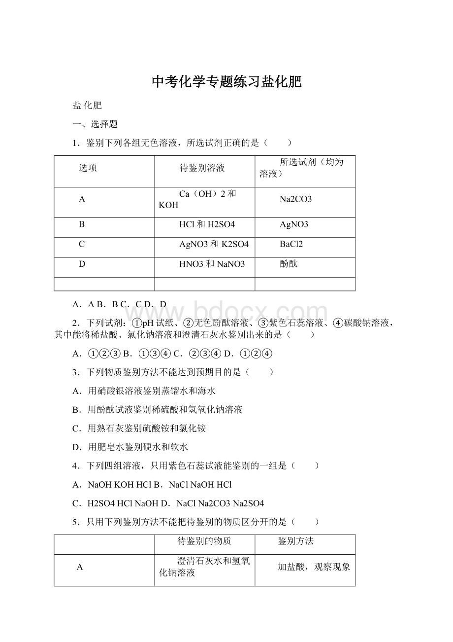 中考化学专题练习盐化肥.docx_第1页