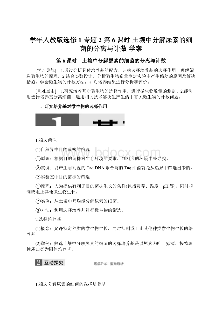 学年人教版选修1 专题2 第6课时 土壤中分解尿素的细菌的分离与计数 学案Word文档格式.docx