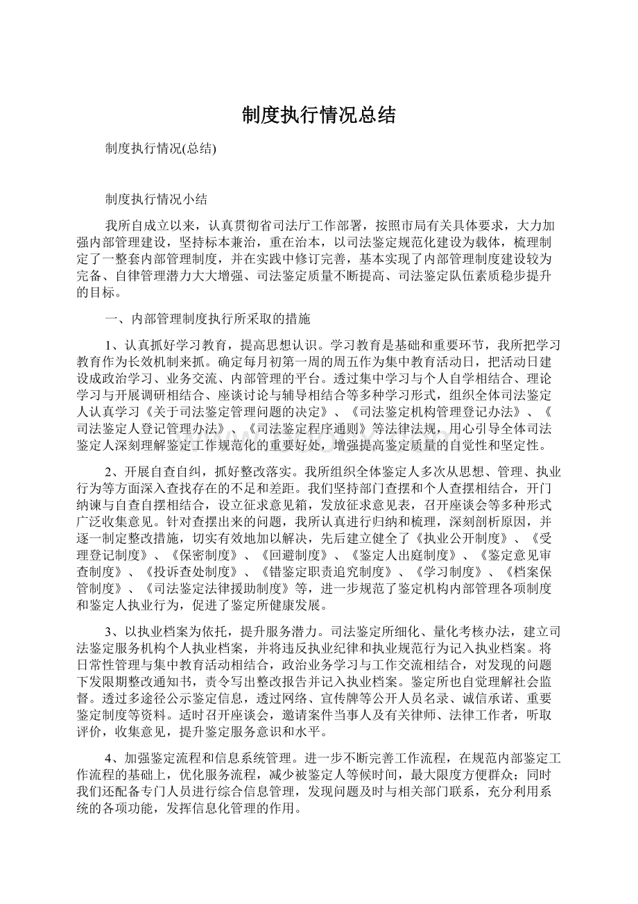 制度执行情况总结Word文档下载推荐.docx