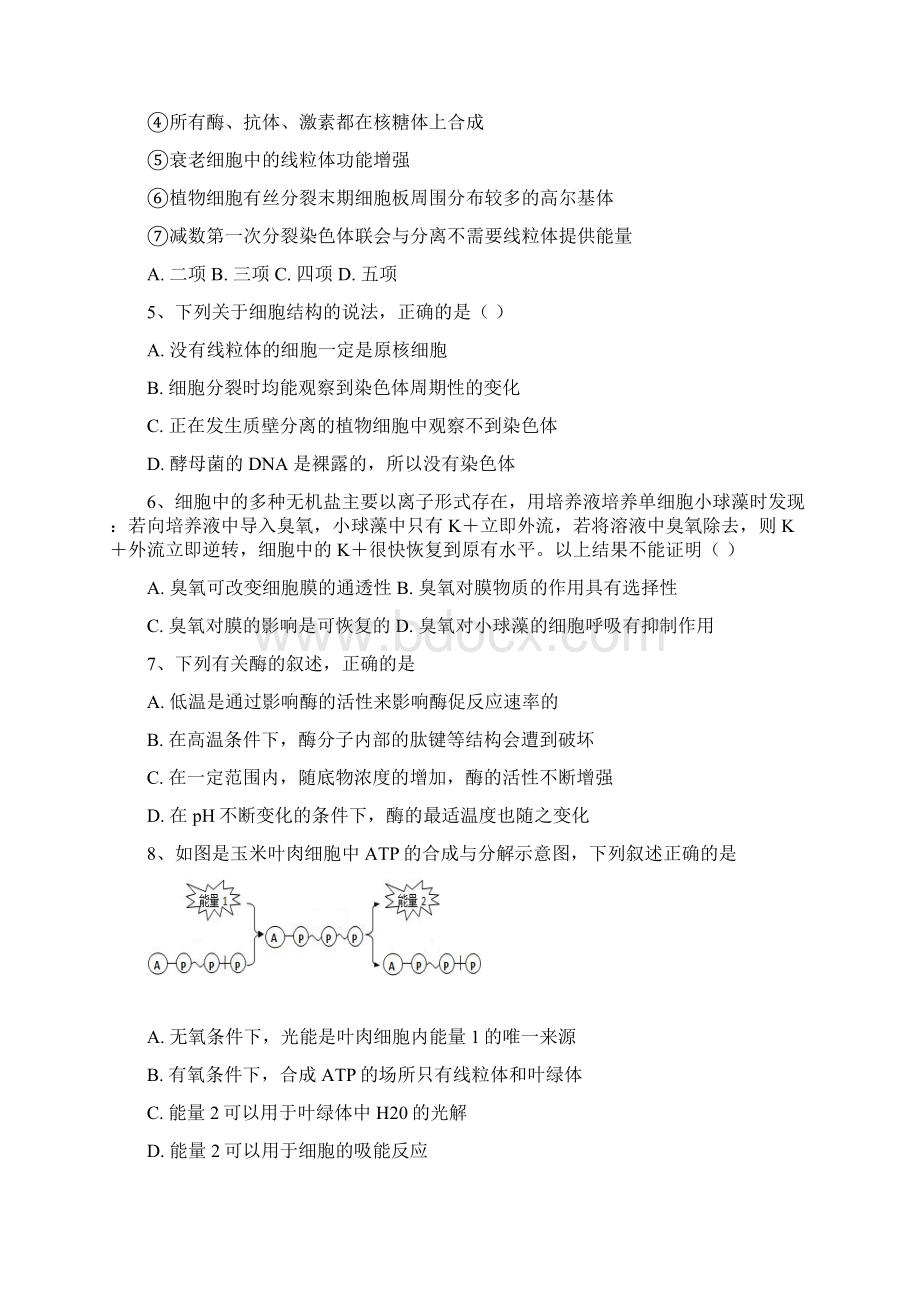 河北省鸡泽县第一中学届高三月考生物Word文件下载.docx_第2页