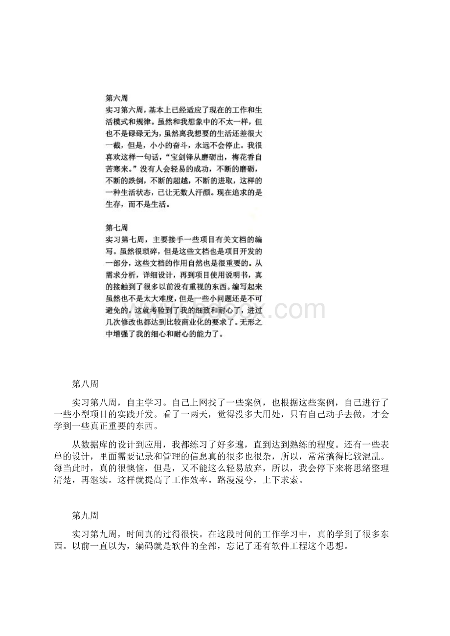 实习周记18篇Word文档格式.docx_第3页