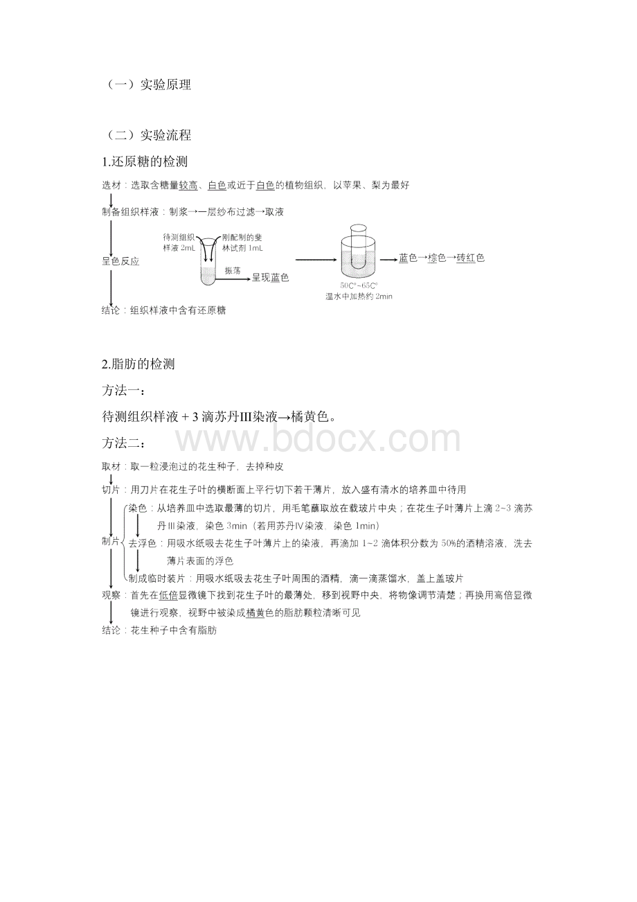 第2章组成细胞的分子教案文档格式.docx_第2页