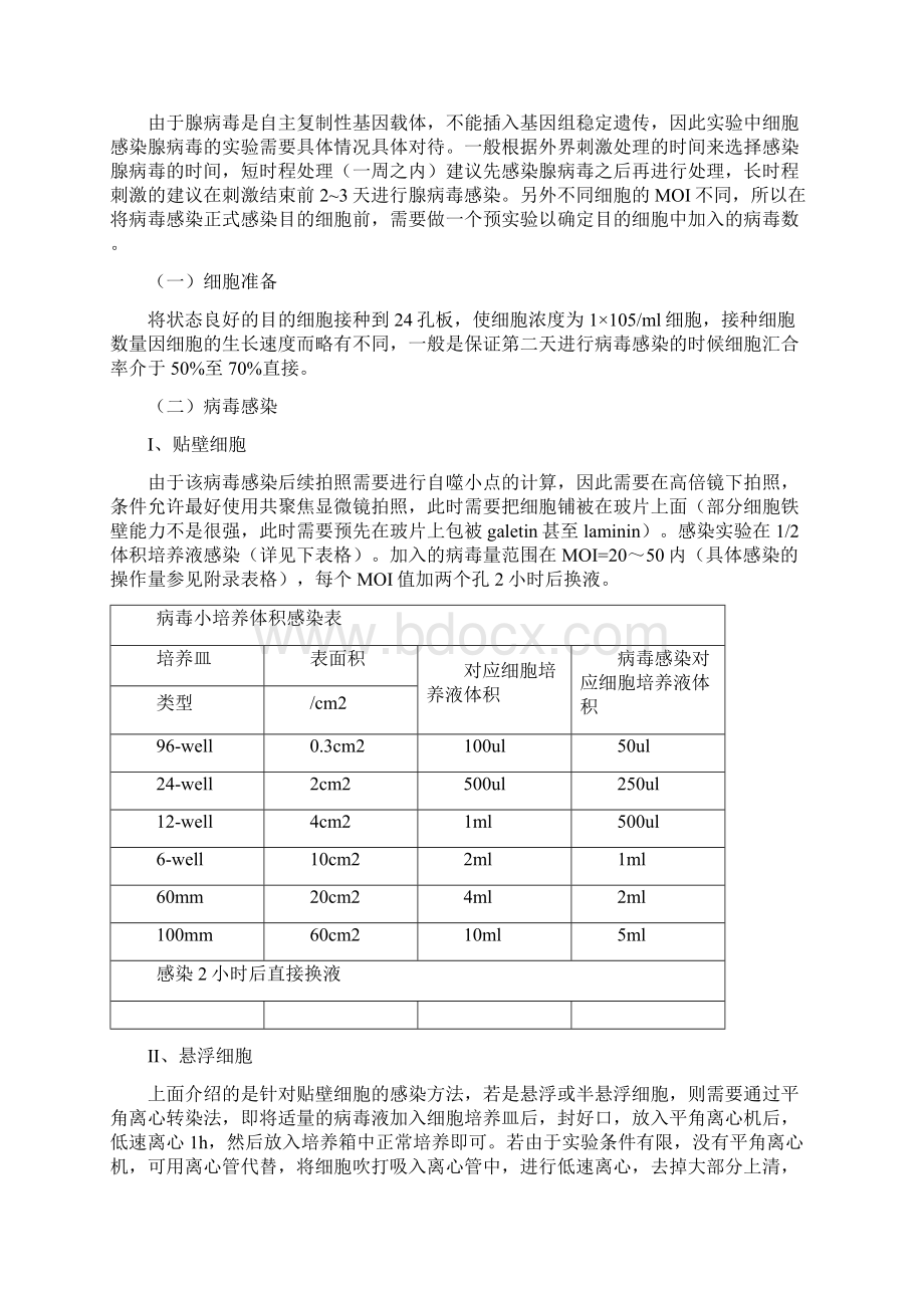 自噬双标腺病毒mRFPGFPLC3使用指南Word文件下载.docx_第2页