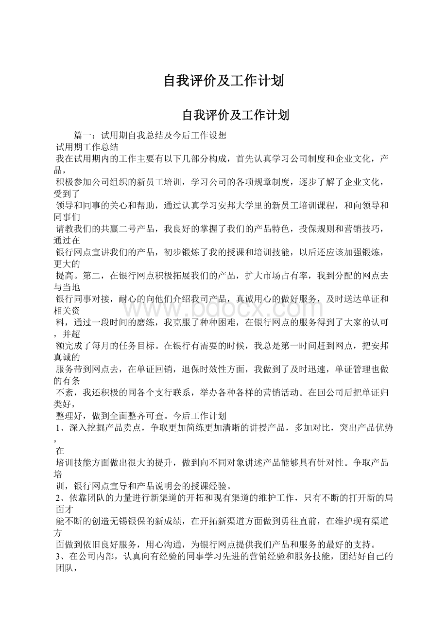 自我评价及工作计划.docx_第1页