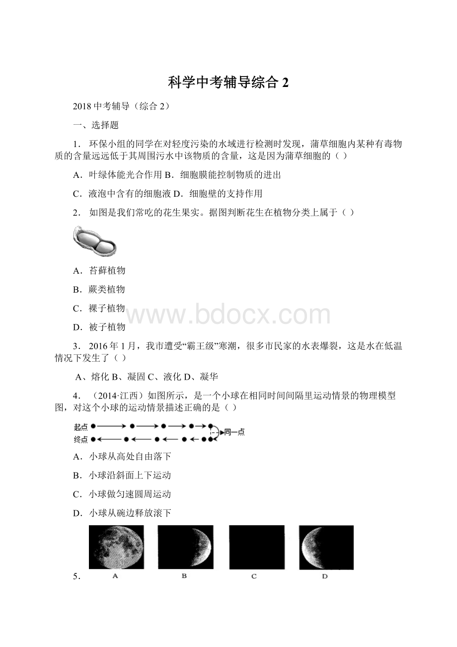 科学中考辅导综合2.docx_第1页