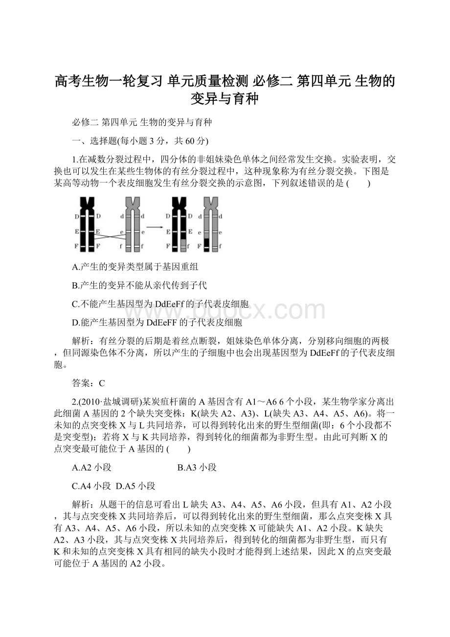 高考生物一轮复习 单元质量检测 必修二第四单元生物的变异与育种.docx