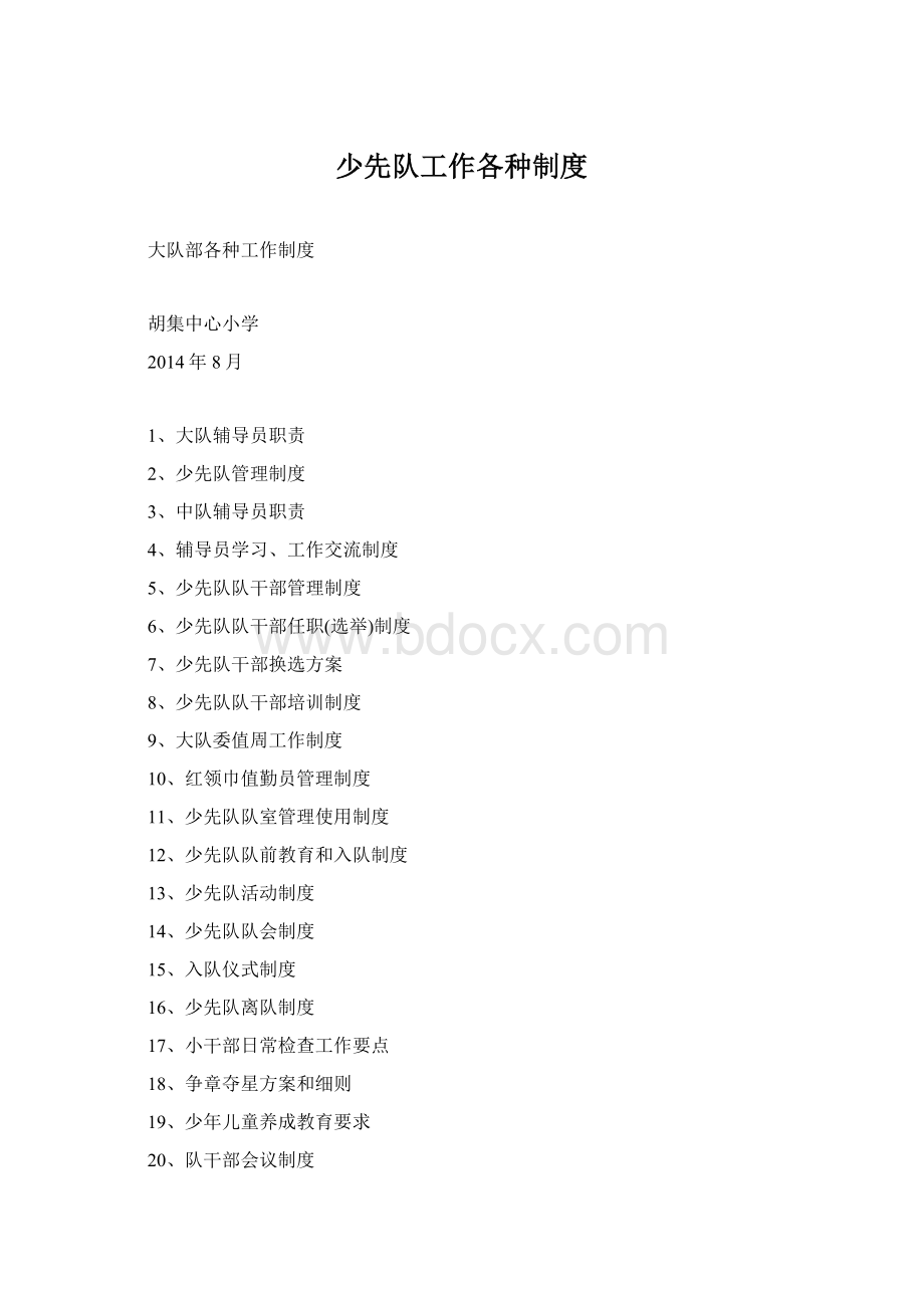 少先队工作各种制度.docx_第1页
