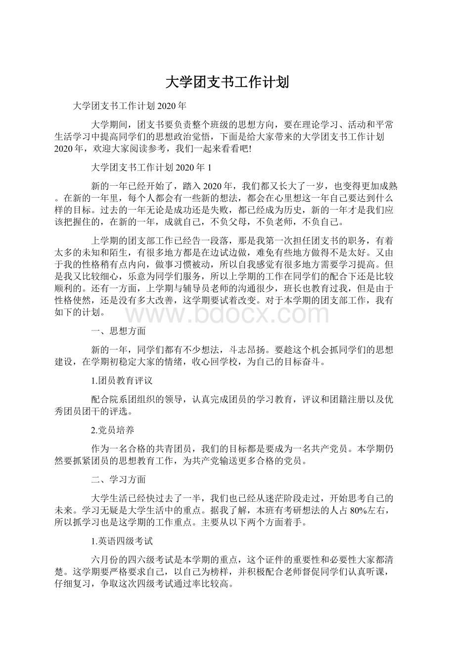 大学团支书工作计划.docx