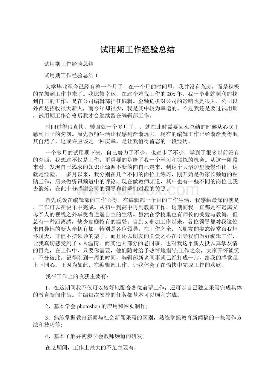 试用期工作经验总结Word文档格式.docx