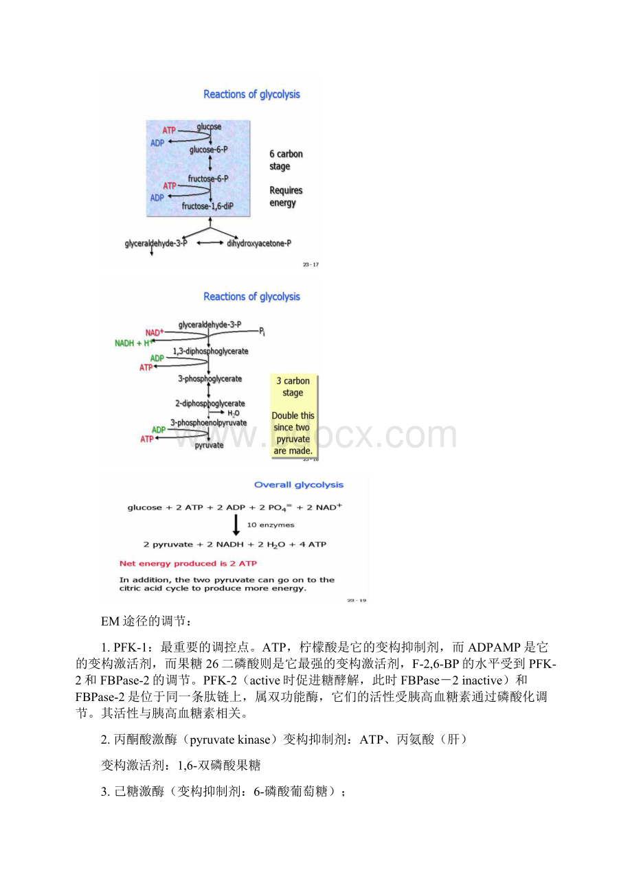 终极通便之生化女人复习题答案R9303Word格式文档下载.docx_第3页