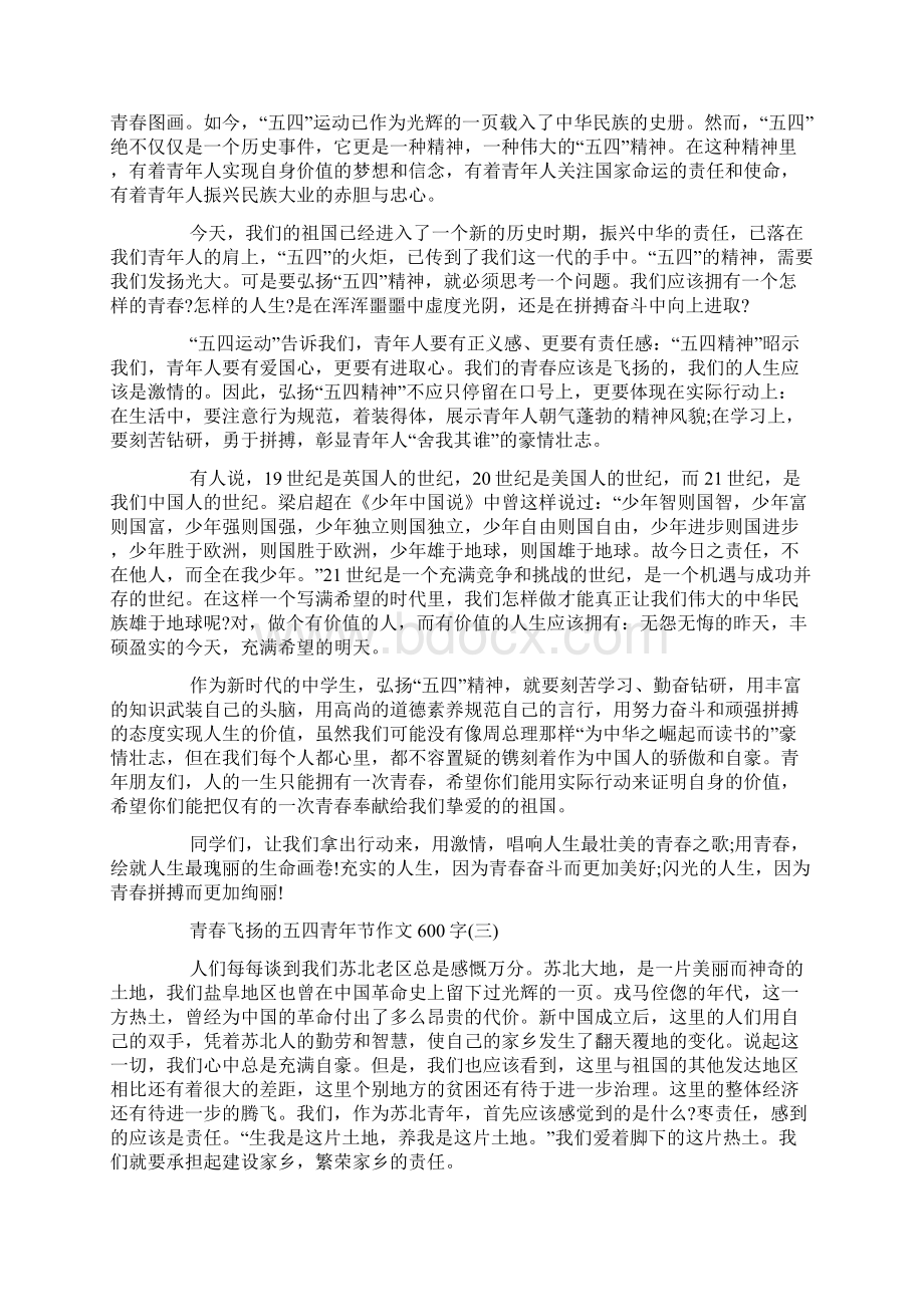 青春飞扬的五四青年节作文600字5篇Word下载.docx_第2页