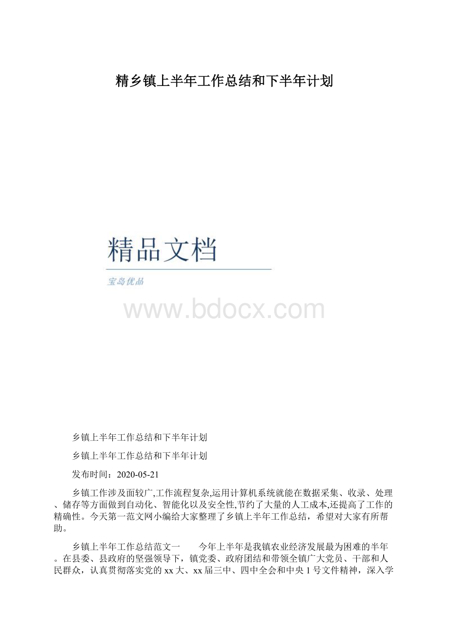 精乡镇上半年工作总结和下半年计划.docx