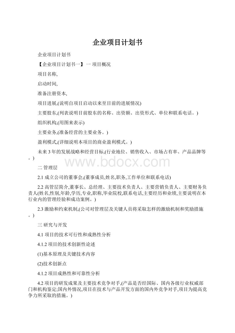 企业项目计划书.docx_第1页