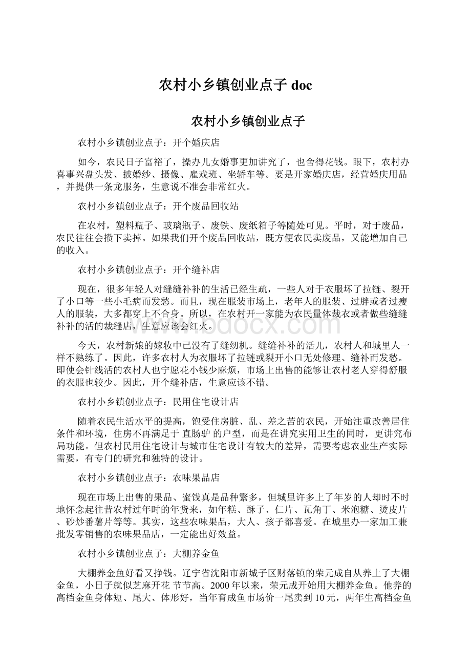 农村小乡镇创业点子docWord文档下载推荐.docx_第1页